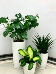 奉化绿植租摆展示厅维修方法与故障排查